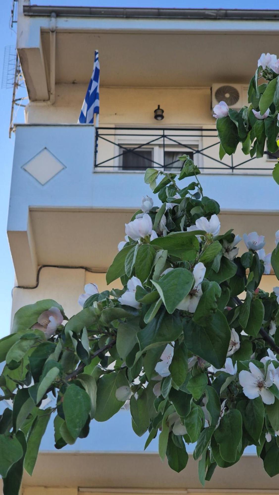 Kofinaki Apartment 1 Tycheron Екстер'єр фото